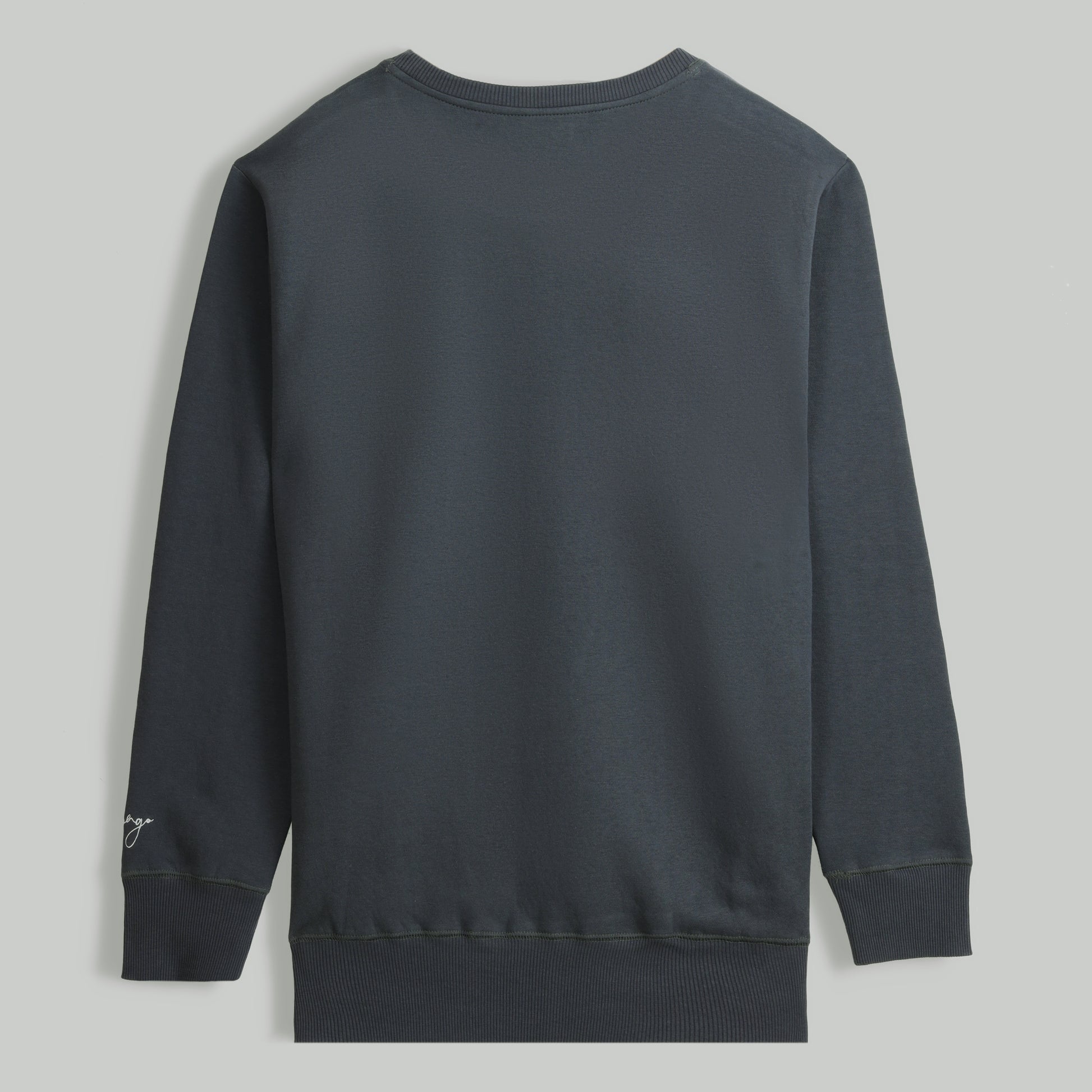 Polarbear Sweatshirt - Charcoal - trangoclothing